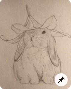 a pencil drawing of a bunny wearing a hat