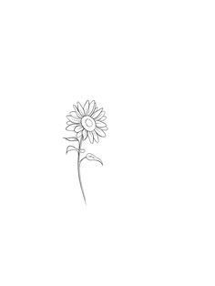 a drawing of a sunflower on a white background