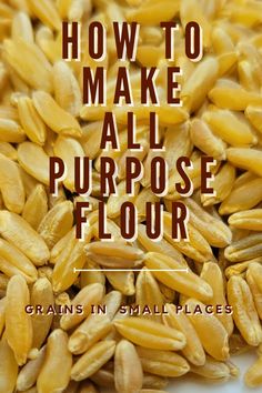 grains in small places with text overlaying how to make all purpose flour