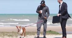 two men with briefcases and a dog on a leash standing on the beach near the ocean