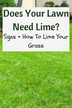 Why, When and How to Apply Lime to Your Lawn Lime For Lawns, Benefits Of Lime, Balcony Hanging Plants, Balcony Patio Ideas, Lawn Problems, Spring Lawn Care, Terrace Garden Ideas, Lawn Pests