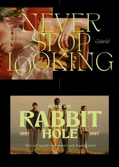 two movie posters with the title never stop looking from the rabbit hole and down the rabbit hole