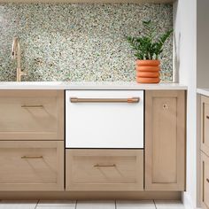 a white dishwasher sitting on top of a kitchen counter next to a potted plant