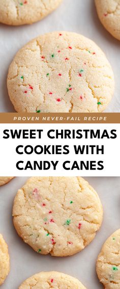 Image for Sweet Christmas Cookies with Candy Canes Cookies With Candy, Delicious Cookies Homemade, Food Business Ideas, Candy Cane Cookies, Best Christmas Recipes, Sweet Recipe, Best Christmas Cookies, At Family, Food Business