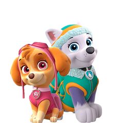 the paw patrol puppies are ready for their next adventure