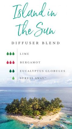 Diffuser Blends Young Living, Summer Diffuser Blends, Young Living Oils Recipes, Island In The Sun