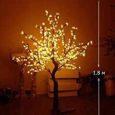 a lighted tree is next to a pile of books