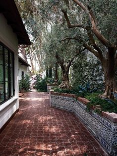 the walkway is lined with trees and plants