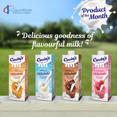 three cartons of various flavored milks with the words delicious goodness of favorful milk