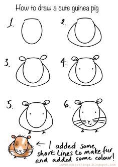 how to draw a cute guinea pig step by step drawing instructions for kids and adults