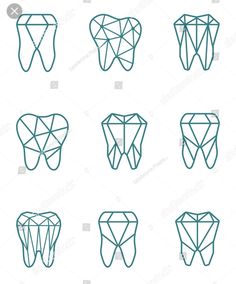 different shapes of teeth on white background