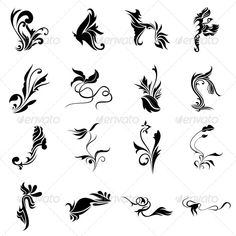 a set of black and white floral design elements - decorative objects / objects clippings