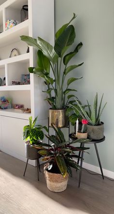 some plants are sitting on small tables in a room