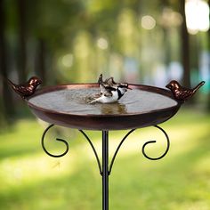 two birds sitting on top of a bird bath