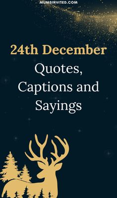 the cover of 24 december quotes, captions and sayings