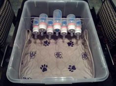 several bottles in a plastic container on top of a table with two chairs and a dog paw print blanket