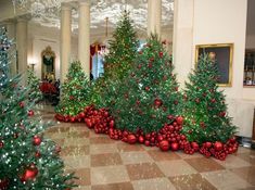 christmas trees lined up in the middle of a room