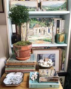 the bookshelf is filled with paintings and plants