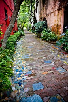 a cobblestone path in an alley between two buildings with trees on either side