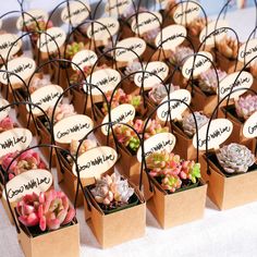 kraft-paper-succulent-favors-with-colorful-succulents Plant Wedding Favors For Guests, Plant Gifting Ideas, Succulent Packaging, Plant Business Ideas, Souvenirs For Birthday, Plant Giveaway, Plants Gift Ideas, Succulent Business, Succulent Gift Ideas