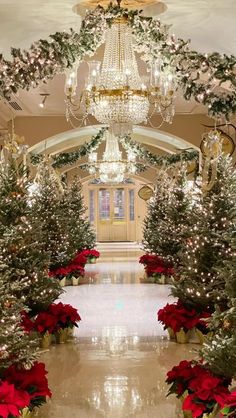 christmas trees and poinsettis are lined up on the floor in front of a chandelier