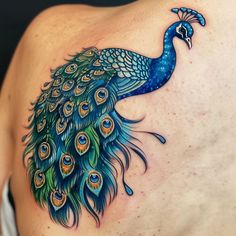 Peacock Tattoo Art Pack Vibrant Tattoos, Peacock Coloring Pages, Henna Paint, Peacock Tattoo, Traditional Henna, Scar Tattoo, Peacock Art, Mehndi Art, Permanent Tattoo