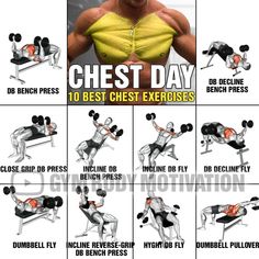 the chest workout chart shows how to use dumbbells and bench presses for back muscles