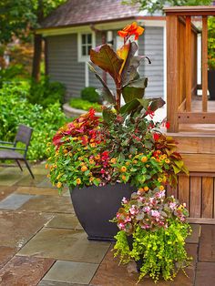 two potted plants on the ground in front of a house