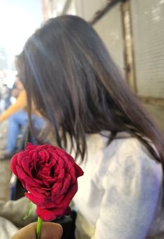 a person holding a red rose in their hand