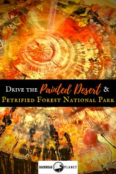 a book cover with the title drive the painted desert and petrified forest national park