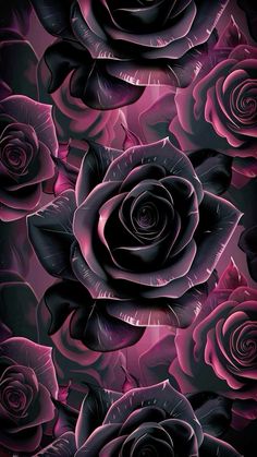 some very pretty purple roses on a black and pink background with the same color scheme