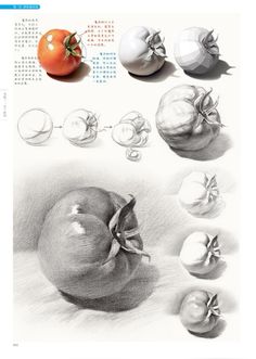 an apple, tomato and onion are shown in this drawing