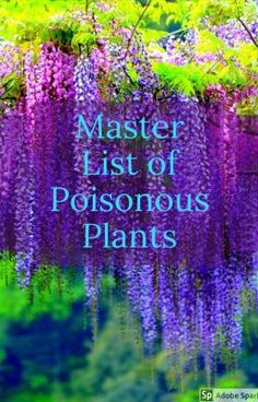 the cover of a book with purple flowers hanging from it's sides and green leaves on