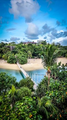 view of Palawan Beach from aerial viewpoint Singapore Quote, Palawan Beach, Singapore Aesthetic, Singapore Sentosa, Sentosa Island Singapore, Singapore Things To Do, Singapore Attractions, Singapore Itinerary, Travel Instagram Ideas