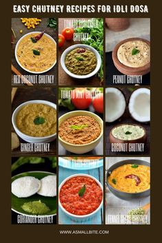 different types of dips and sauces with the words easy chutney recipes for idi dosa