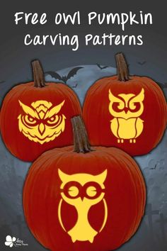 three pumpkins with owls and an owl on them