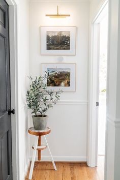 a potted plant sitting on top of a wooden stool in front of a doorway