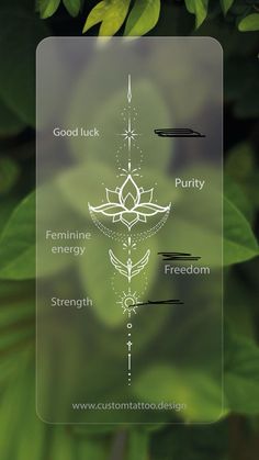 an image of a green leaf with words on it