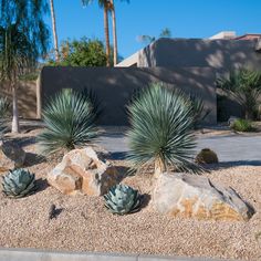 some rocks and plants in front of a house