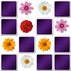 the flowers are arranged in squares to match each other's color scheme for this game