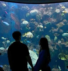 two people standing in front of an aquarium looking at the fish and corals inside