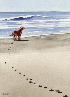 a watercolor painting of a dog on the beach with footprints leading to the ocean