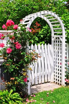 31 Secrets on Growing Roses in 2024 | Montana Happy Garden Gate Design, White Fence, Garden Vines, Cottage Garden Design, Garden Arbor, Garden Arches, Walled Garden, Charming Garden, Garden Gate