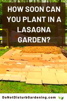 a garden with the words how soon can you plant in a lasagna garden?