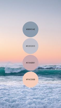 three circles with the names of different types of waves in front of an ocean sunset