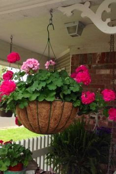 pink flowers in hanging baskets on the porch