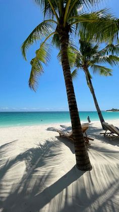 two palm trees on the beach with blue water in the background