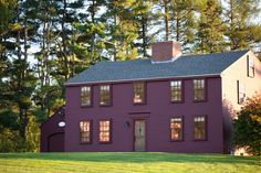 a large purple house sitting in the middle of a lush green field