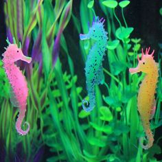 three seahorses swimming in an aquarium with algae and plants around them on the bottom