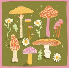 an illustration of various mushrooms and daisies on a green background with pink trim around the edges